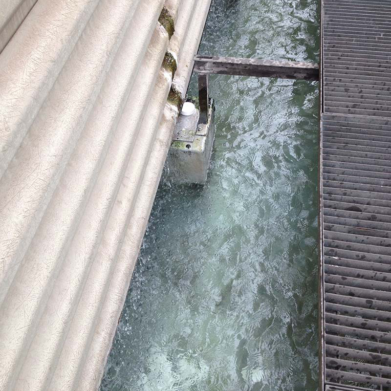 How do broad-spectrum fungicides protect the safety of industrial circulating water?